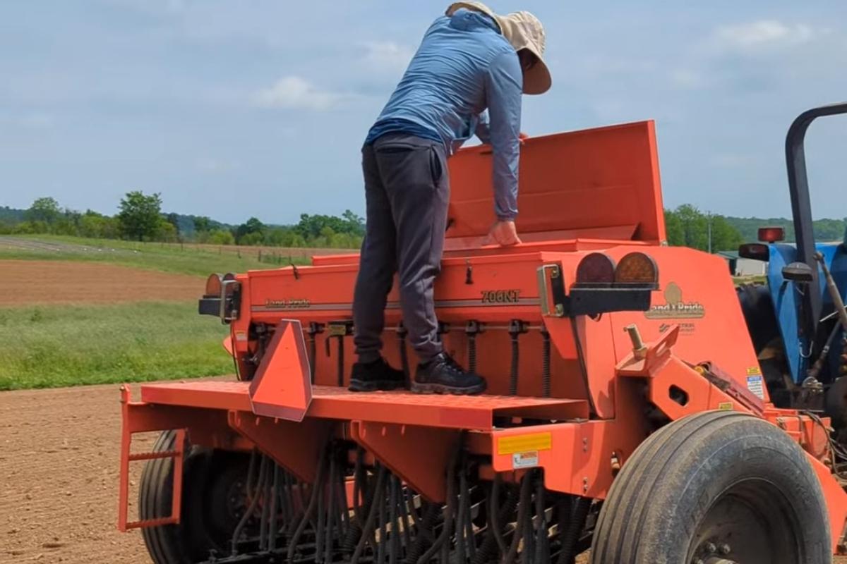 Soybean seed sowing