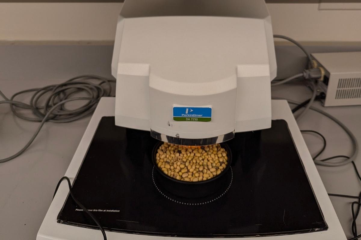 Soybean seeds being analyzed under DA7250 NIR Analyser