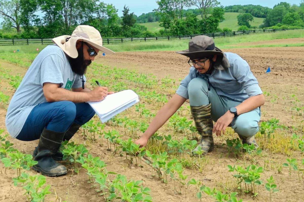 Anjan and Manish counting plant stand