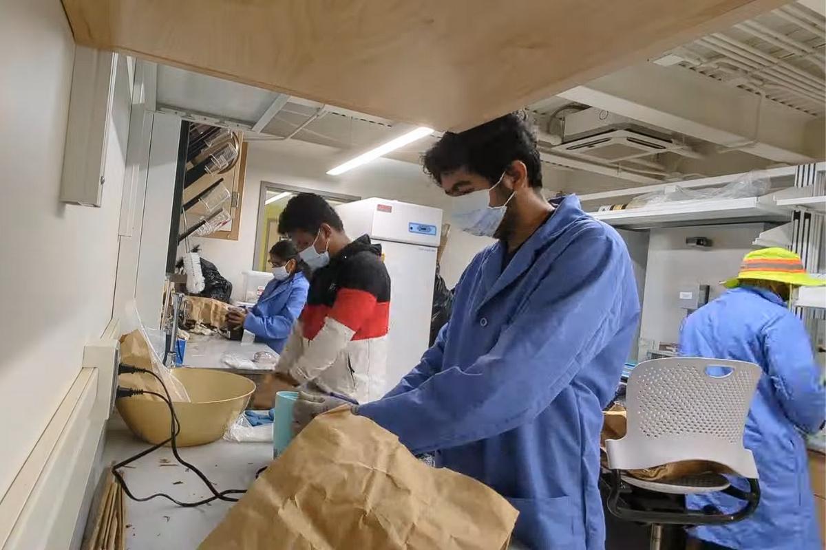 Lab members grinding plant biomass for nitrogen analysis
