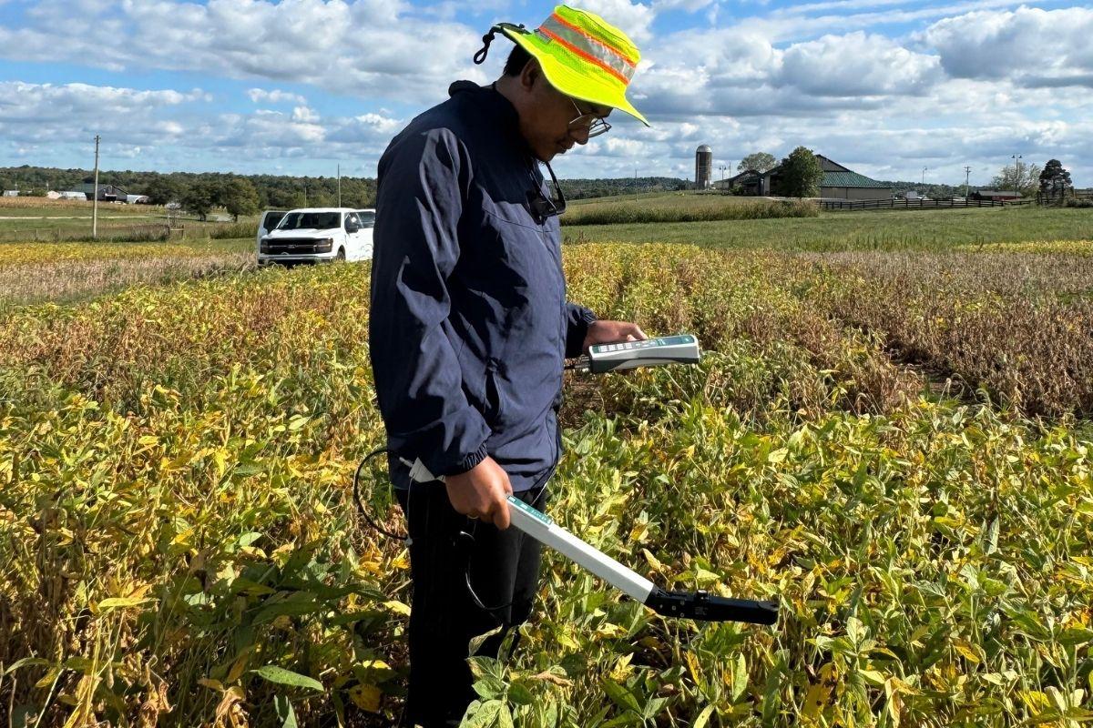 LAI data recording in the field