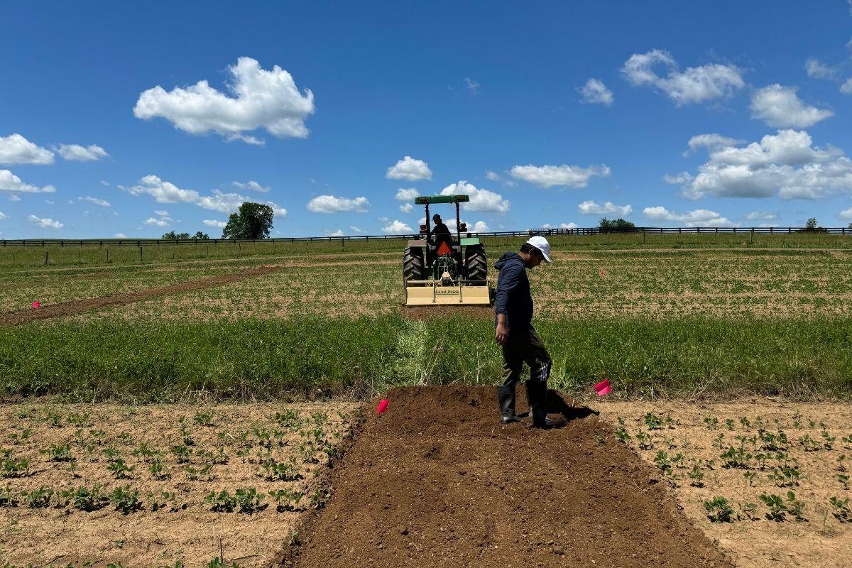 Plots separation using cultivators