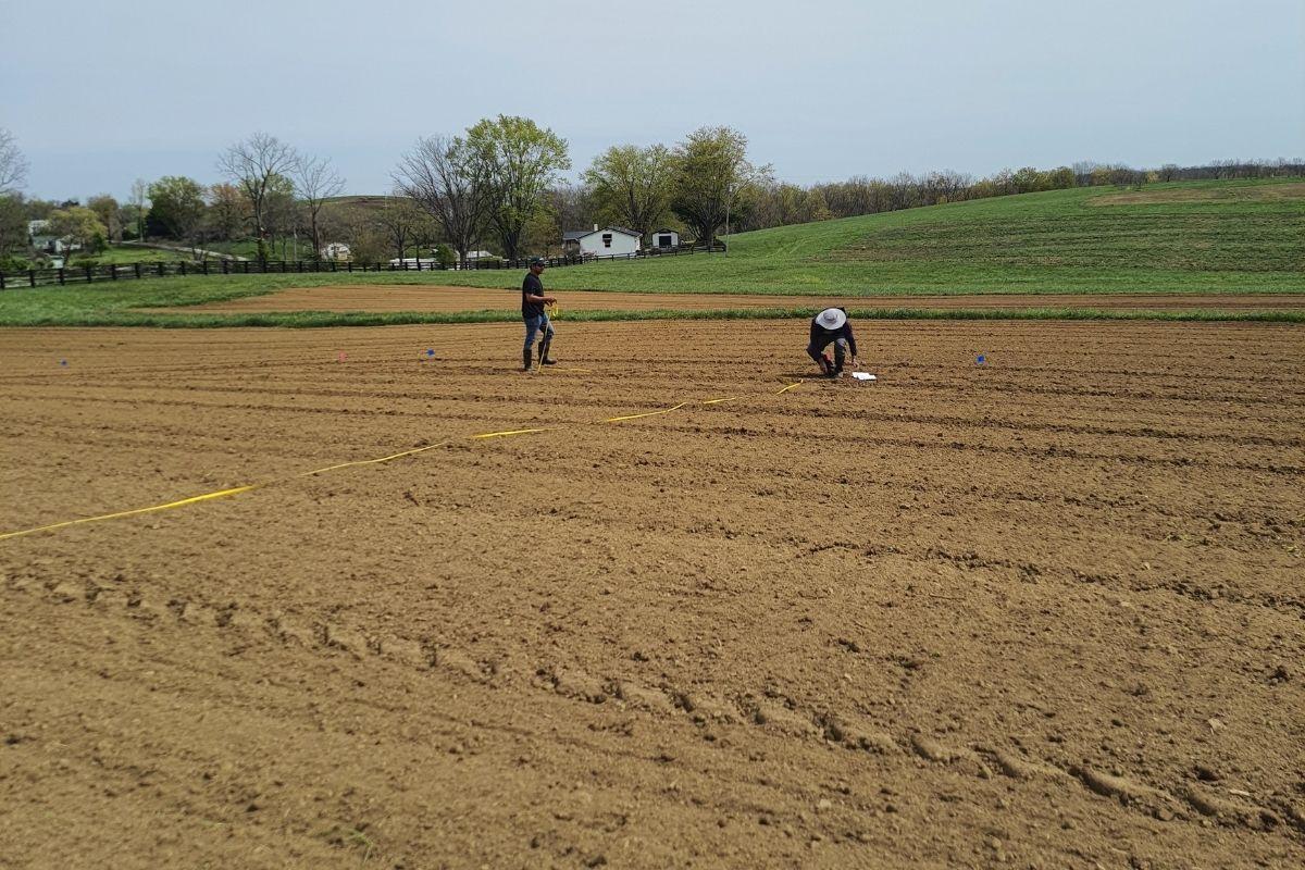 Field demarcation for separating plots