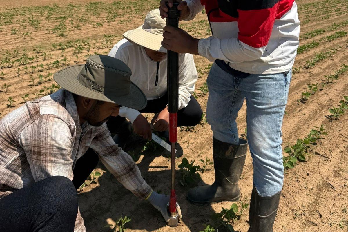Soil sample collection using core sampler