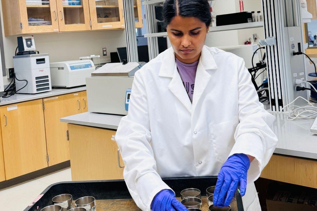 Srijana busy with her lab work
