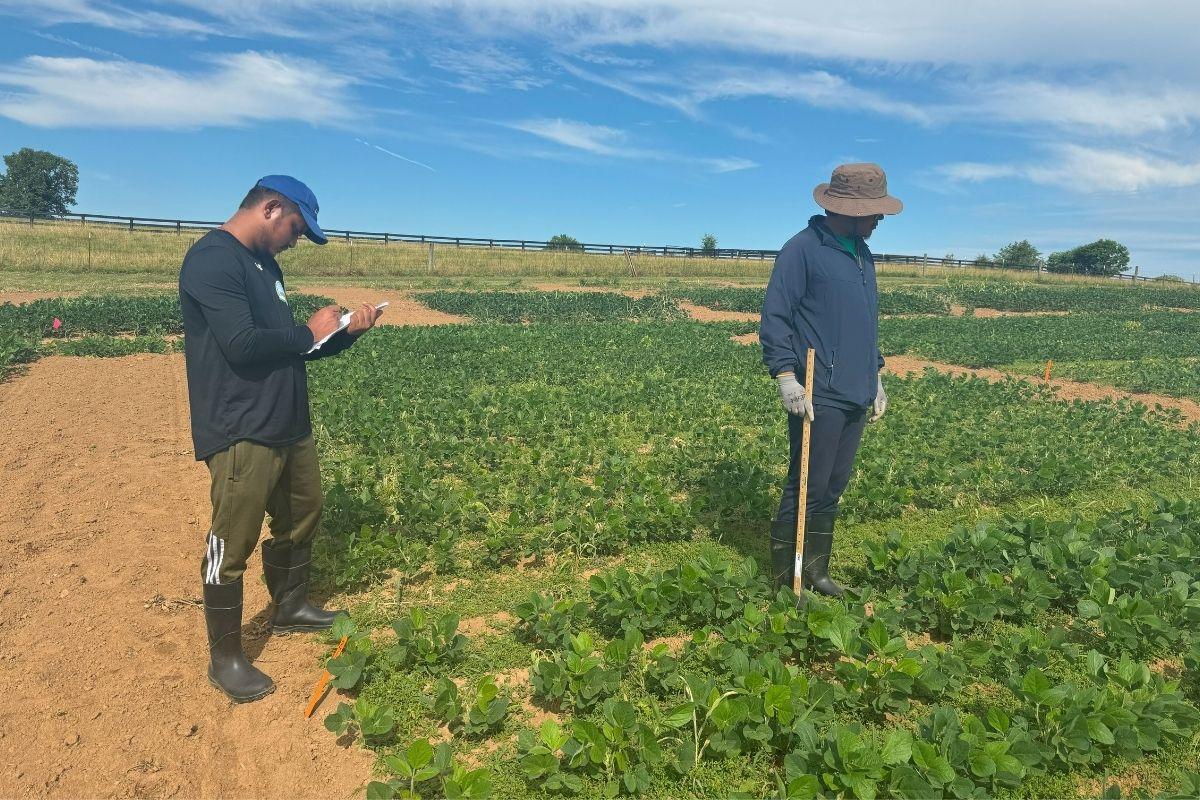 Deepak recording field measurement