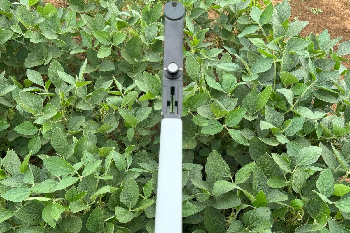 LAI 2200C PCA taking above canopy measurement