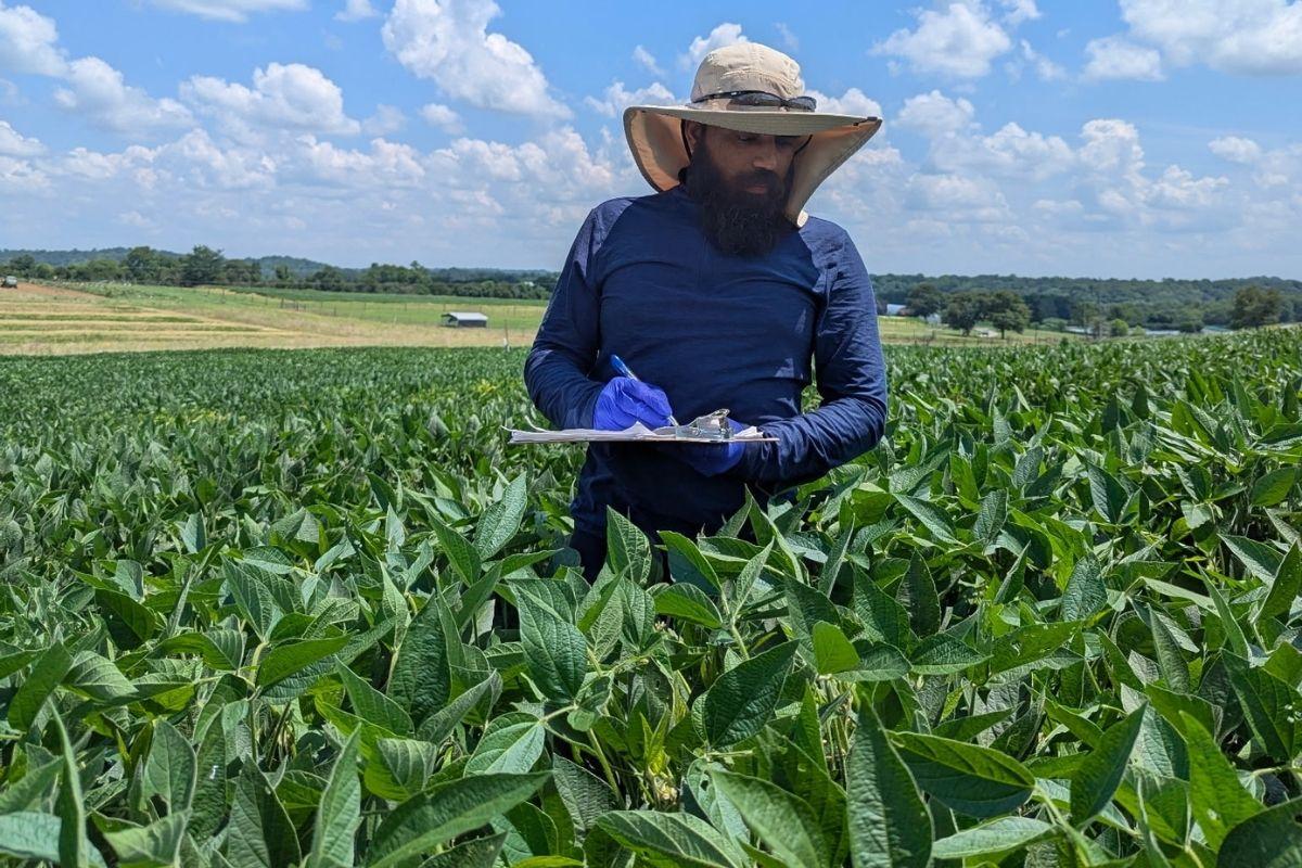 Plant phenology tracking