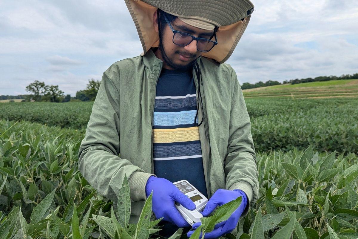 Leaf Nitrogent measurement using SPAD