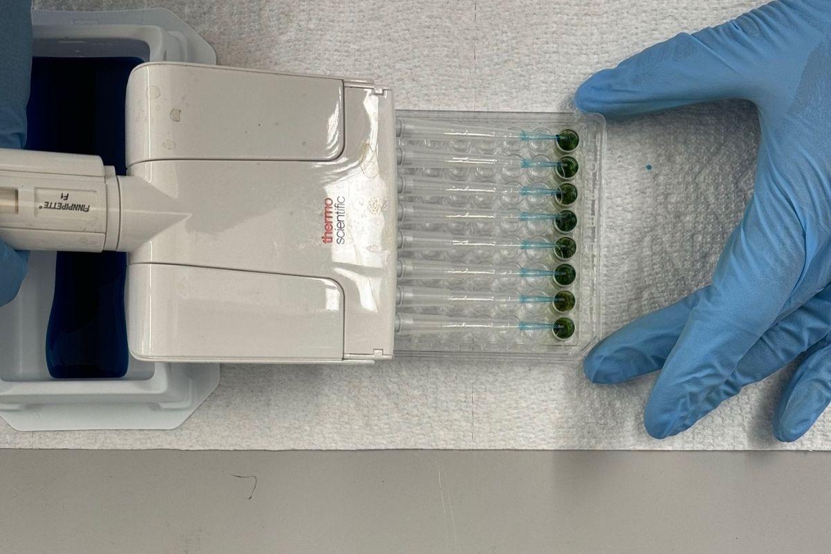 Sample preparation for analysis