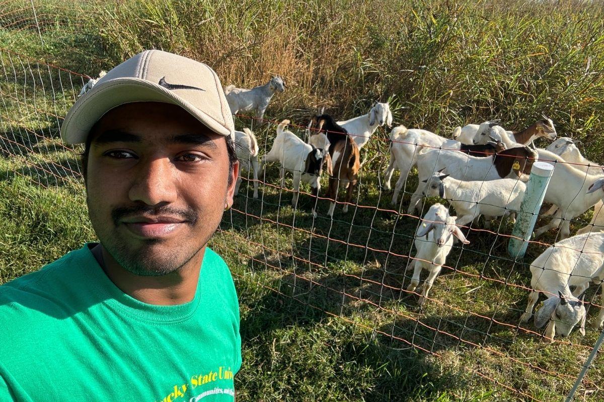 Binaya in the field with goats