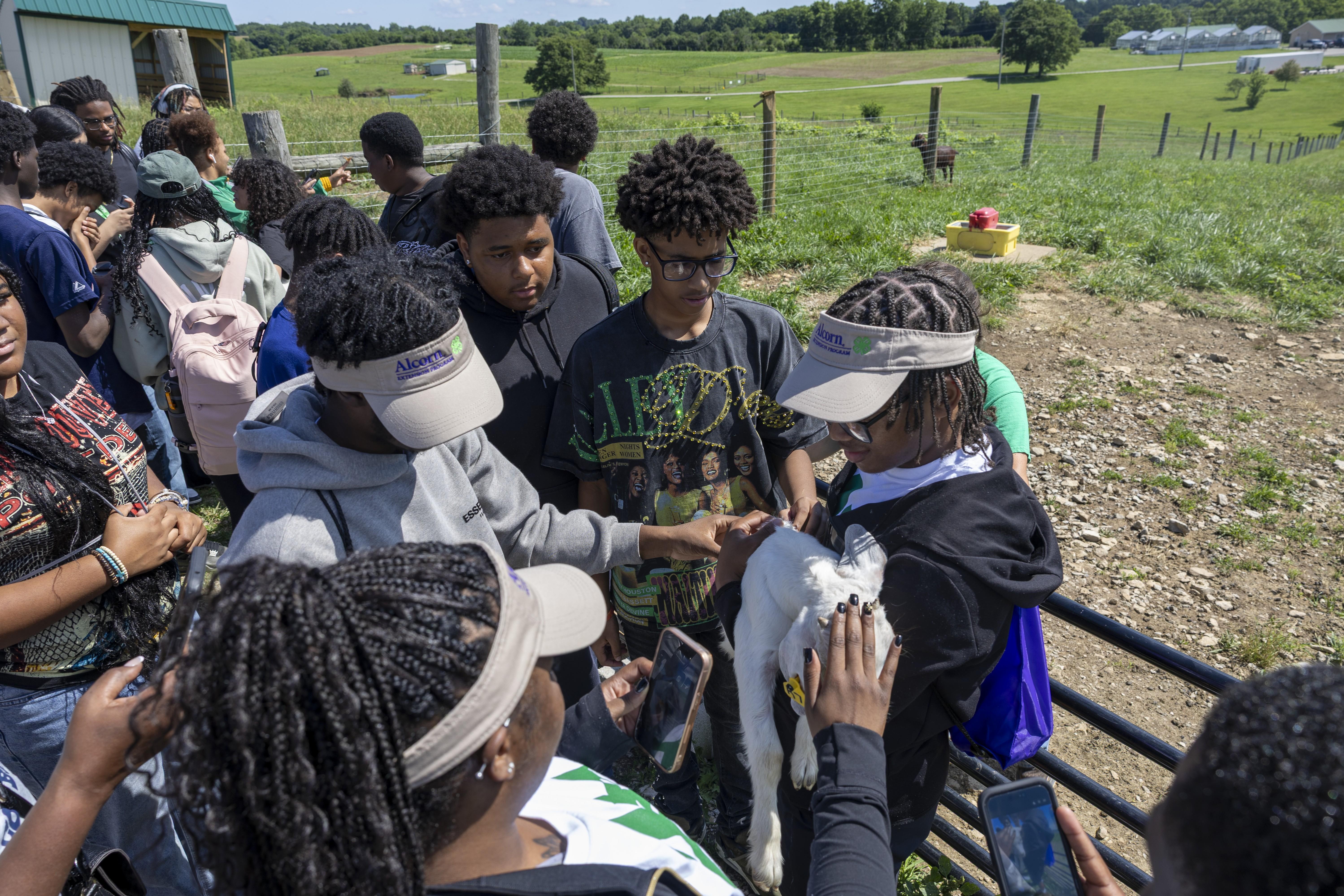 4-H