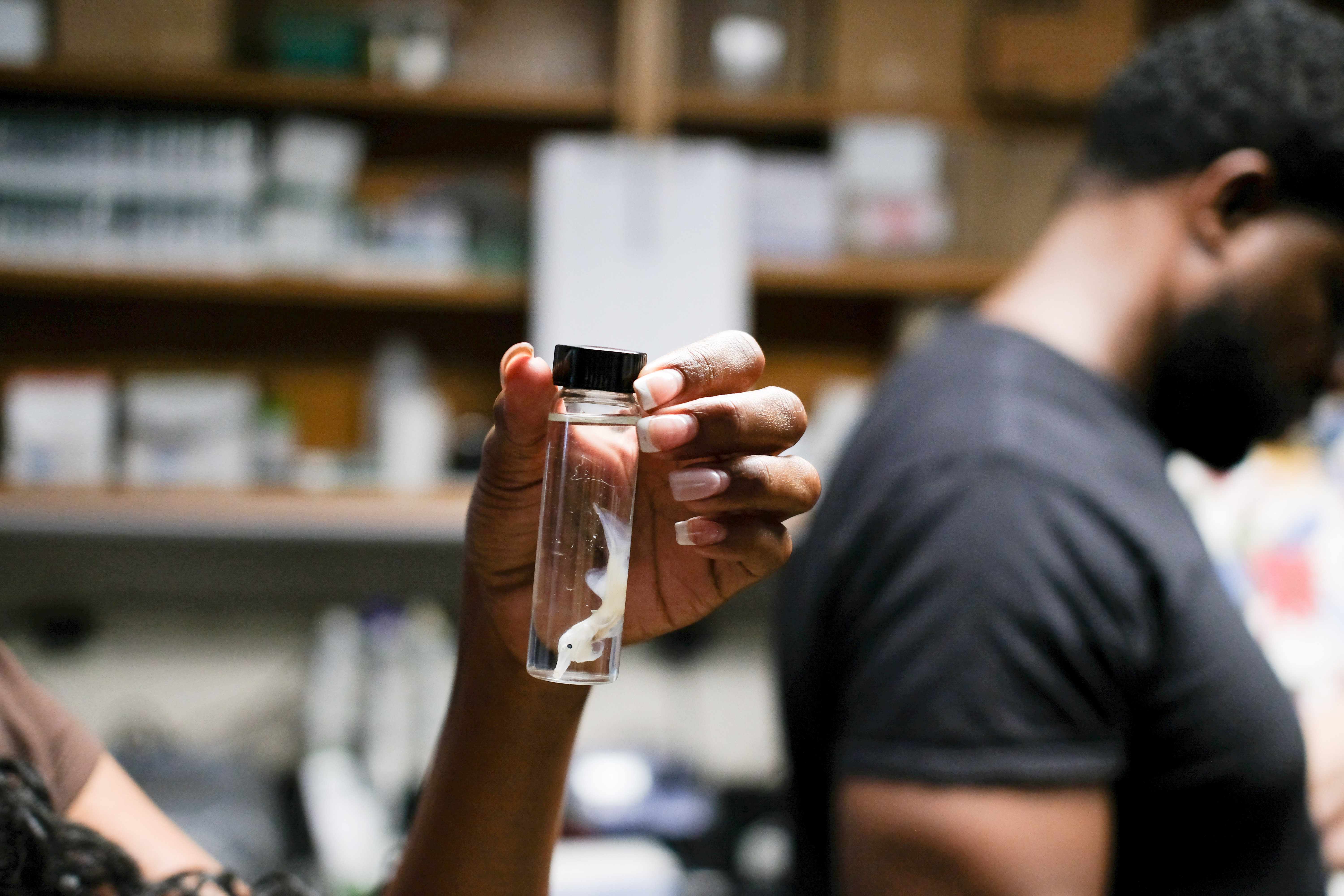 Participant's hand holding a fish sample in a vial.