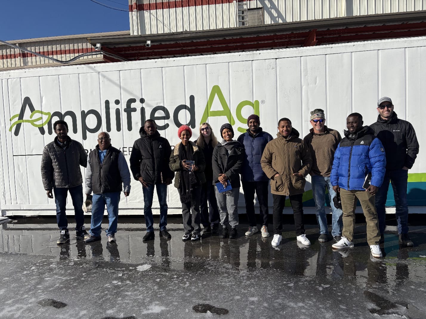 Amplifed 