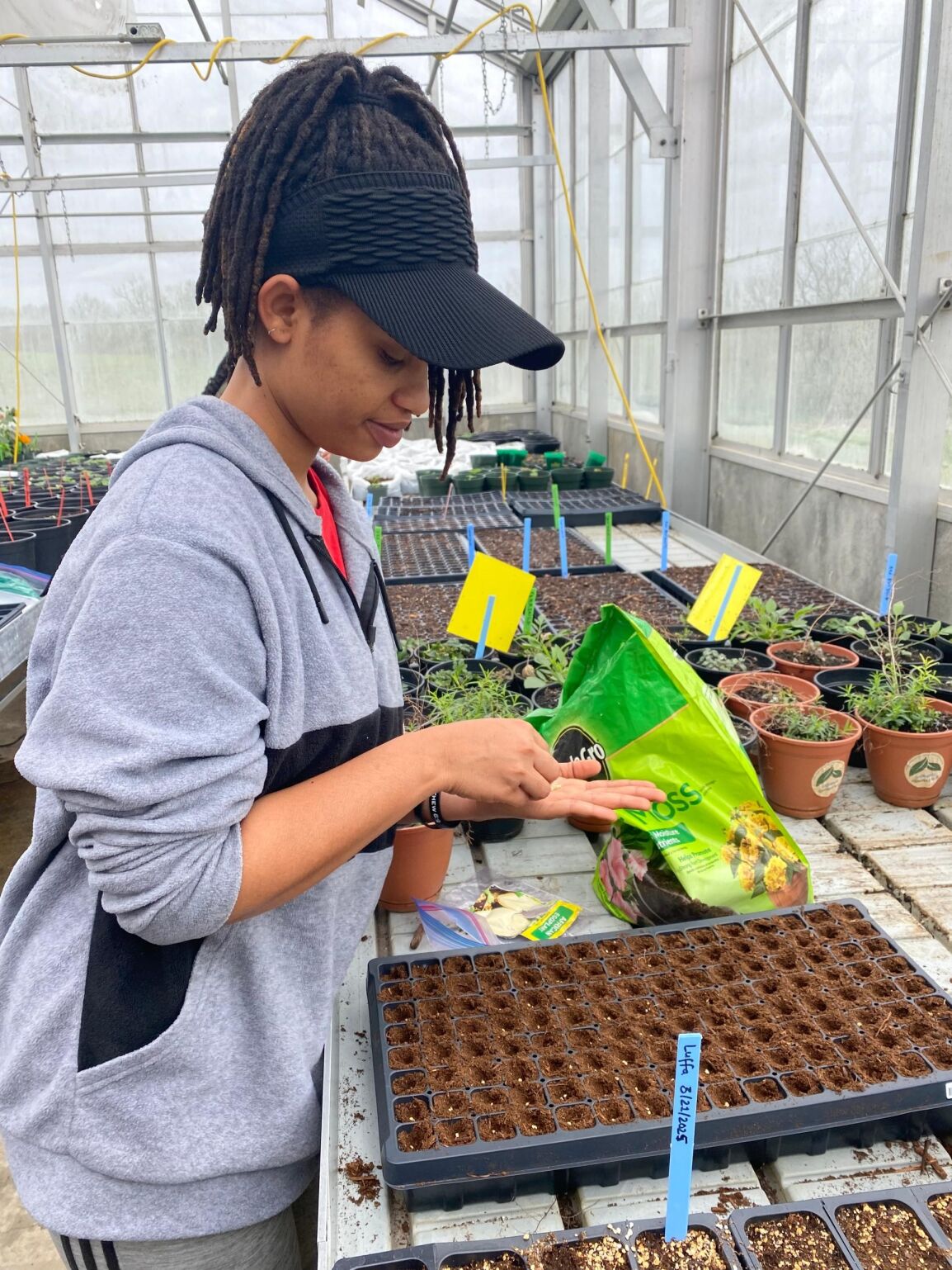 Greenhouse 