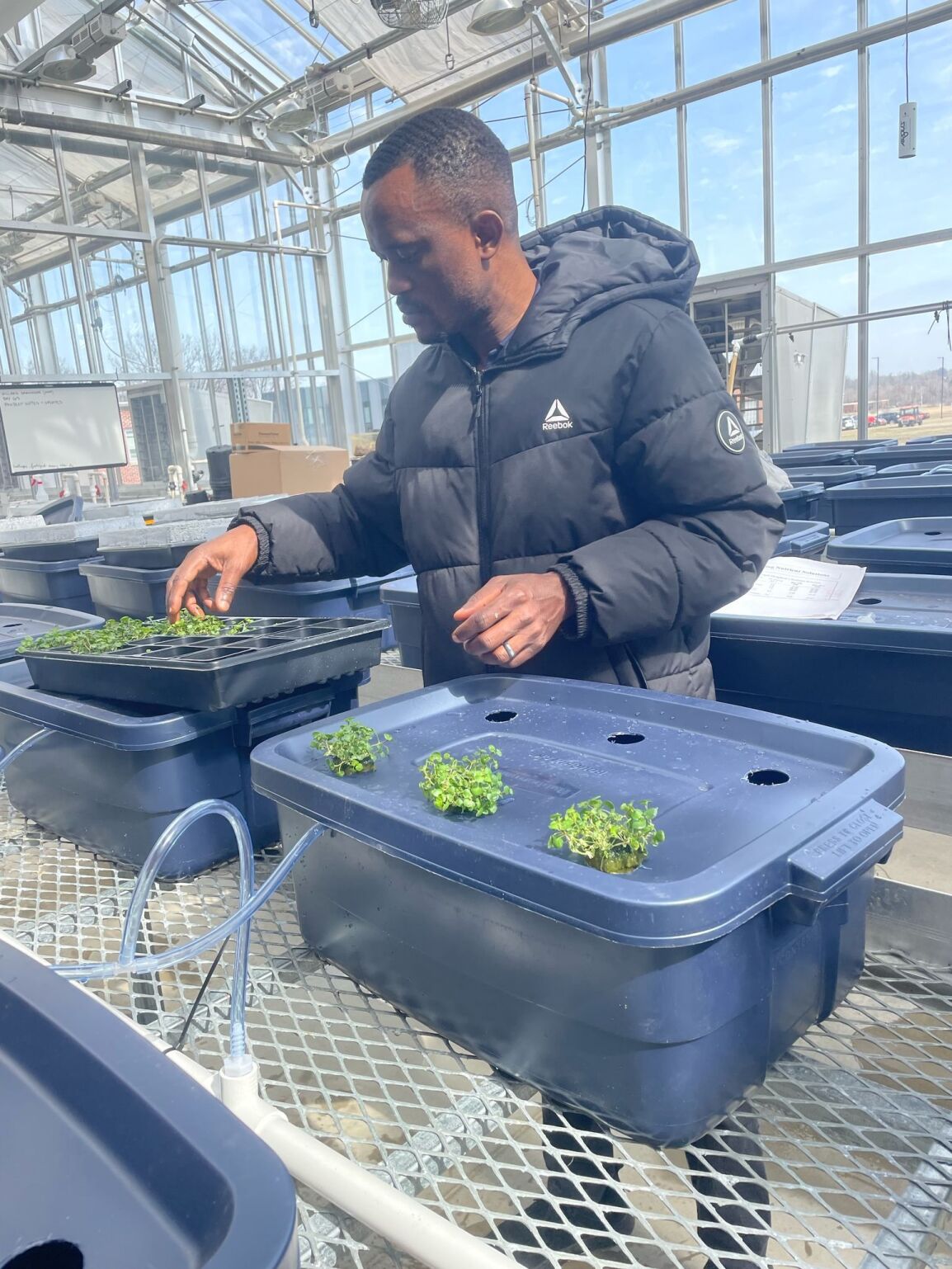 Hydroponics