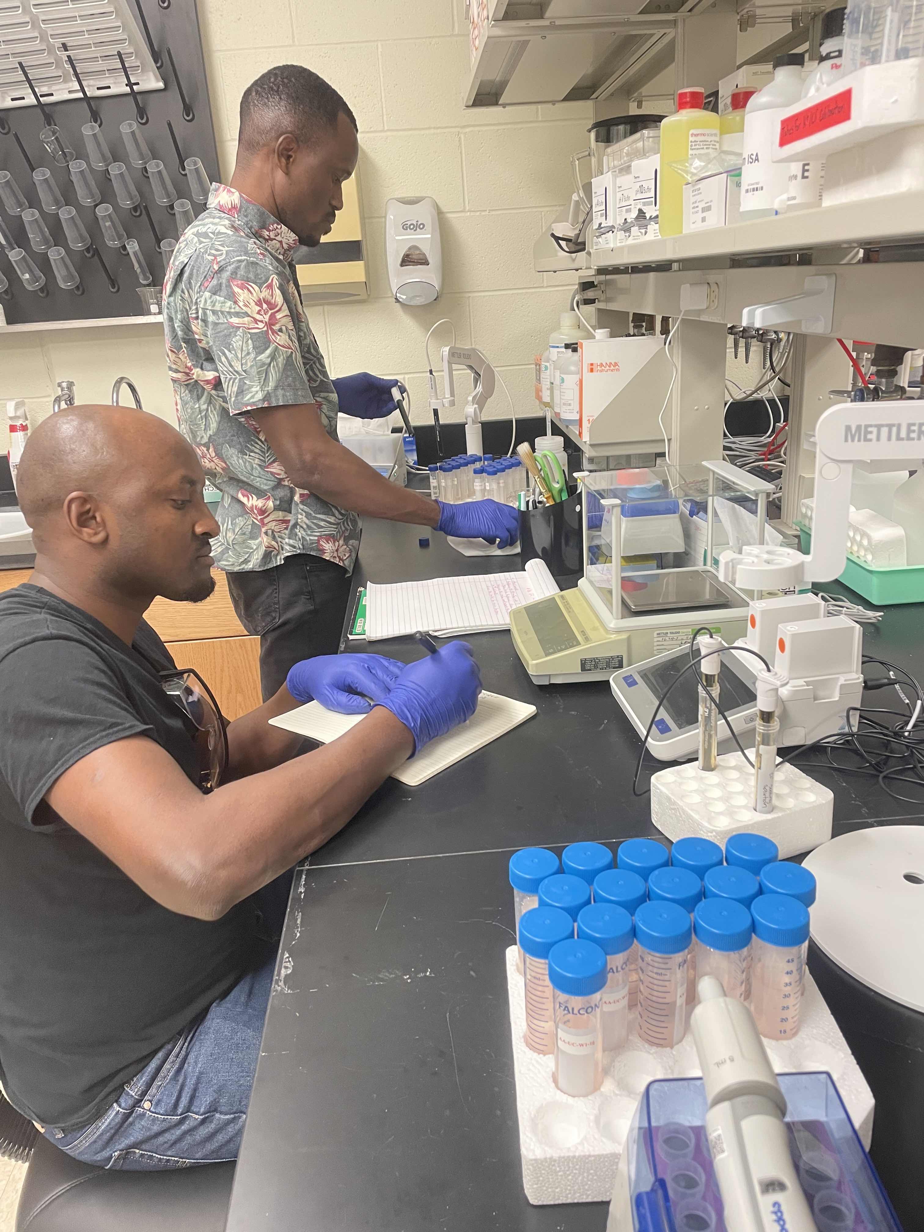 lab