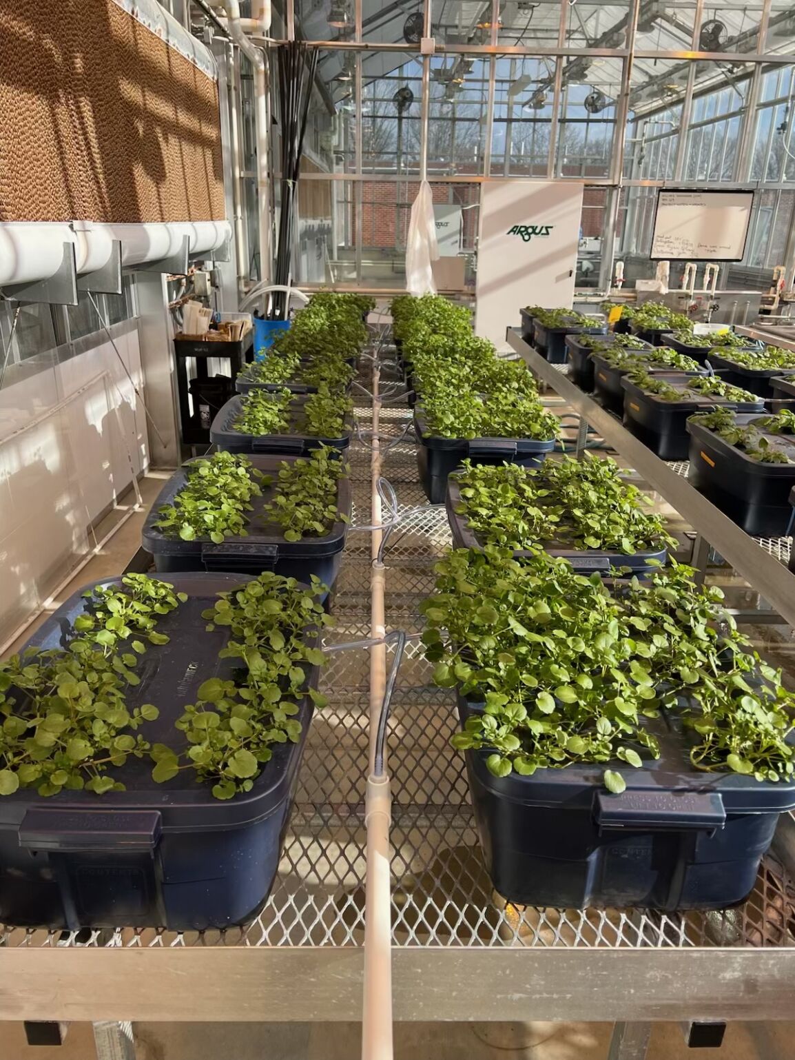 Ohio Greenhouse