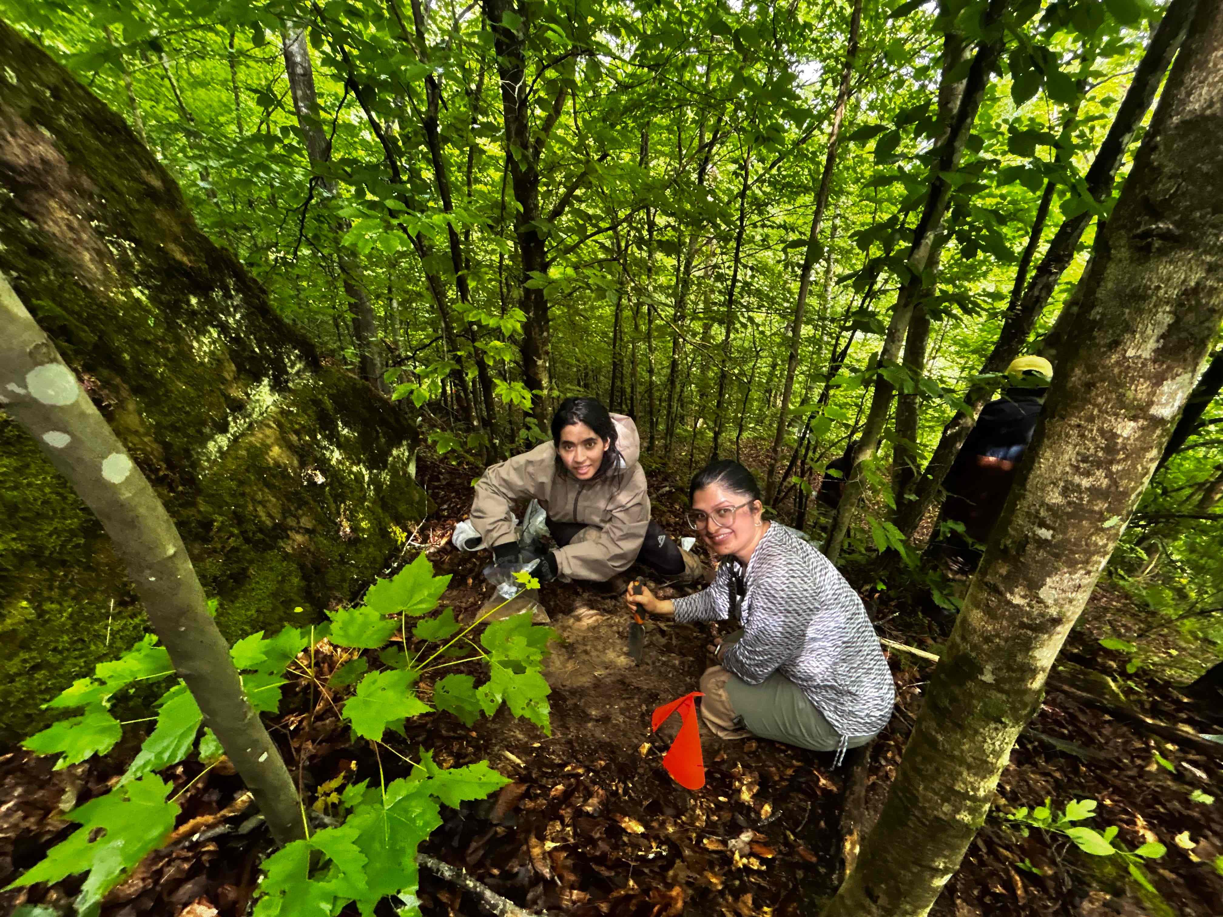 Taking Soil Sampling