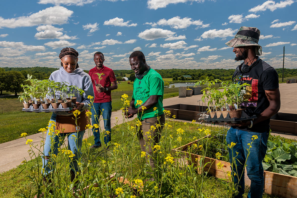 Benson Farm feature image