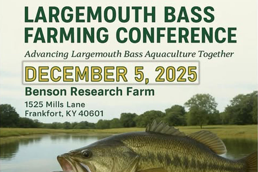 Largemouth Bass Farming