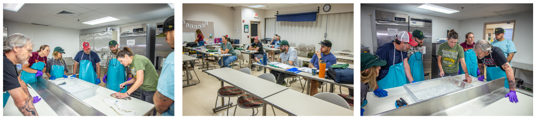 Aquaponics Training Collage